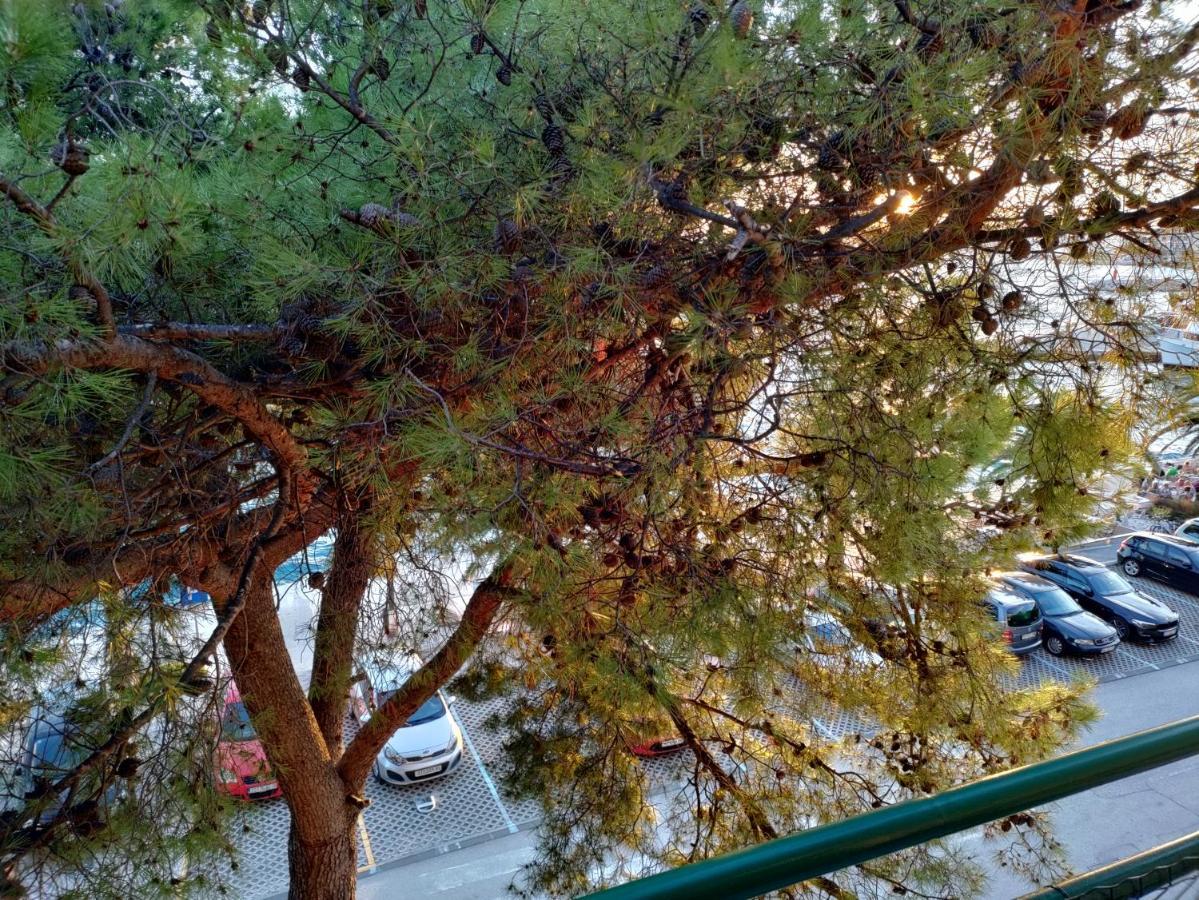 Apartments Krzanic بودغورا المظهر الخارجي الصورة